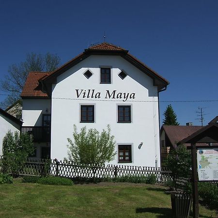 Villa Maya Horni Plana Ngoại thất bức ảnh