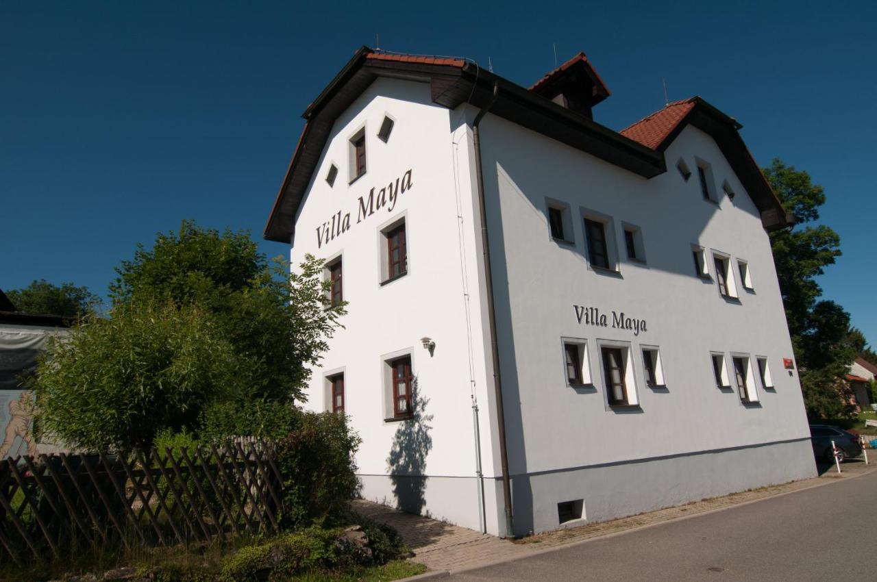 Villa Maya Horni Plana Ngoại thất bức ảnh