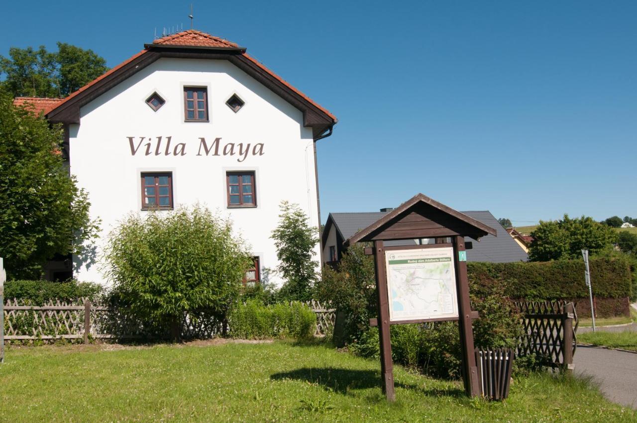 Villa Maya Horni Plana Ngoại thất bức ảnh